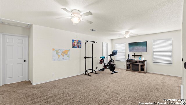 2319 Rosillos Peak, San Antonio, Texas image 12