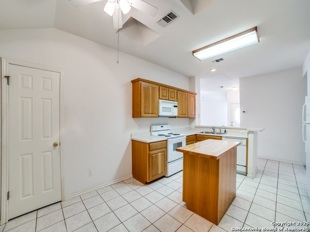121 Mesa Del Sol, Kerrville, Texas image 10