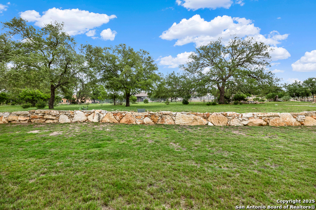 1820 Bardolino, New Braunfels, Texas image 44