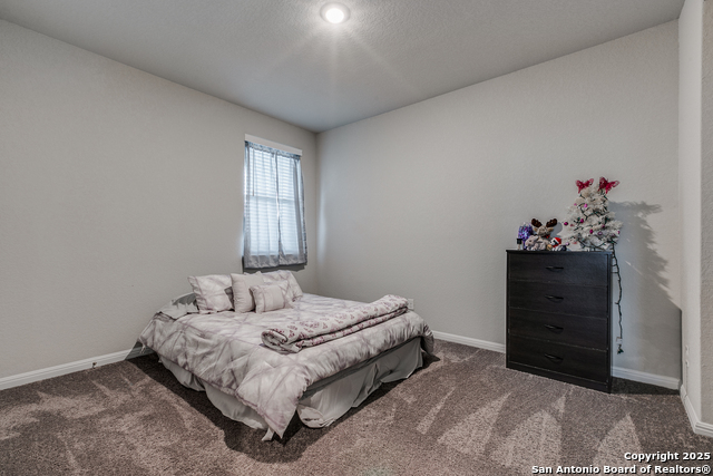 3254 Starflower, New Braunfels, Texas image 18