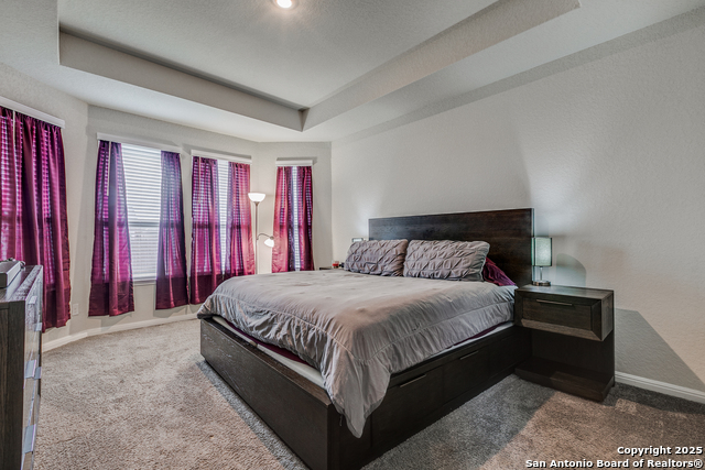 3254 Starflower, New Braunfels, Texas image 23