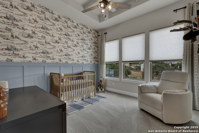 2337 Lombardy, New Braunfels, Texas image 43