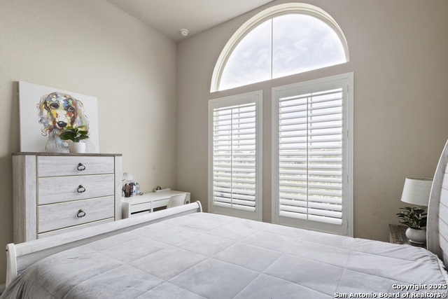 104 Talavera, Boerne, Texas image 23