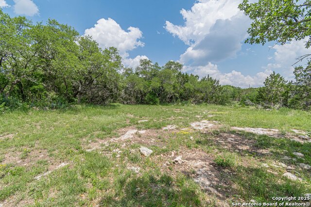 145 County Road 2725, Mico, Texas image 44