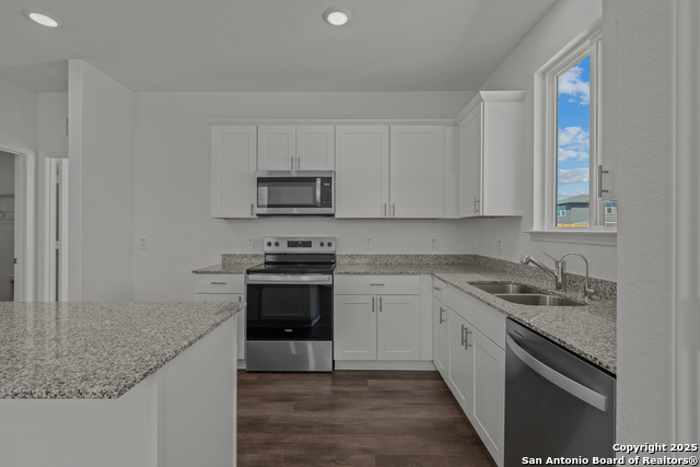 1545 Golden Wheat, New Braunfels, Texas image 16