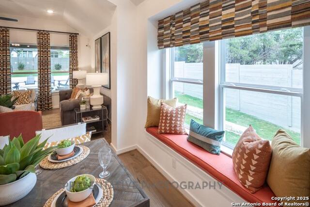 12344 Goulding, San Antonio, Texas image 13