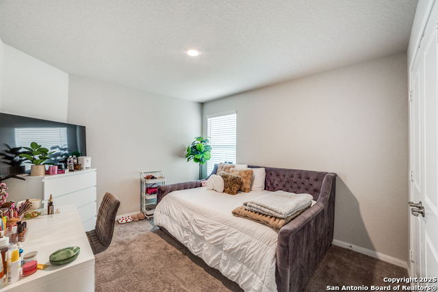 950 Albatross Way, San Antonio, Texas image 16