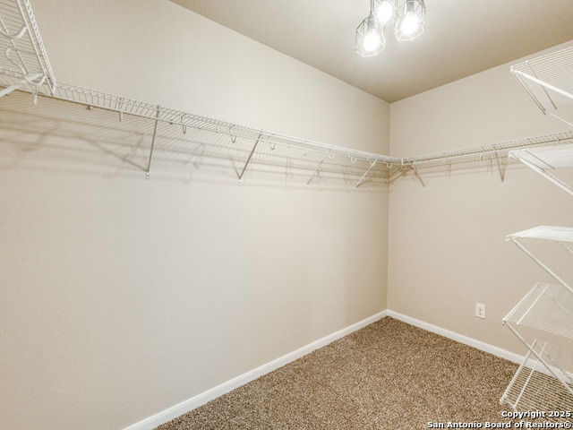 767 Spectrum, New Braunfels, Texas image 17