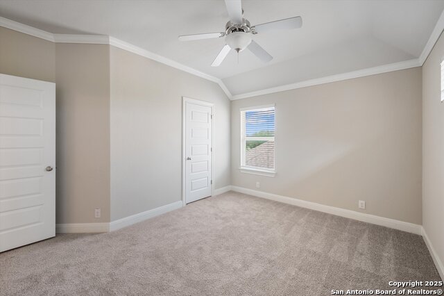 245 Kilkenny, Cibolo, Texas image 40