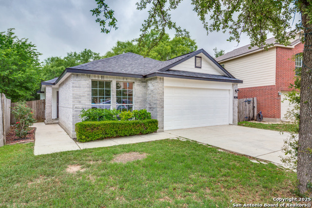 10246 Roseangel, Helotes, Texas image 2