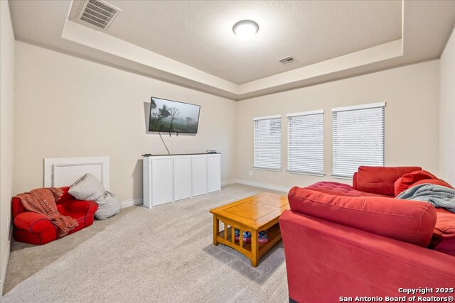 627 Waratah Avenue, New Braunfels, Texas image 33