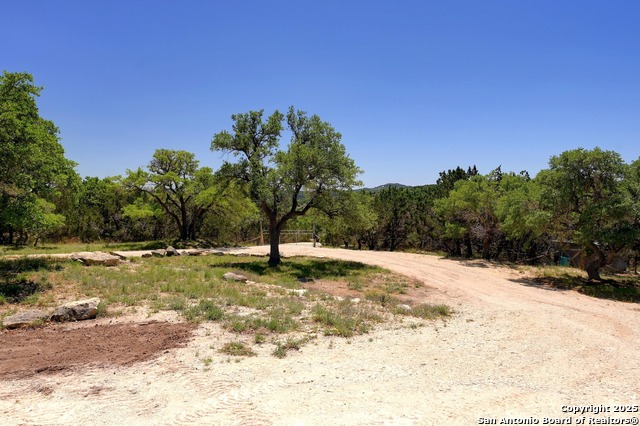 3824 Mccall Creek, Blanco, Texas image 22