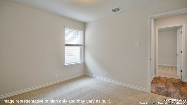 162 Squacco Heron, San Antonio, Texas image 16