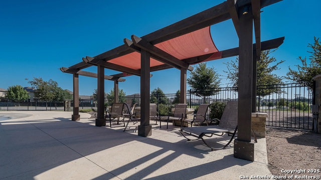 172 Squacco Heron, San Antonio, Texas image 37