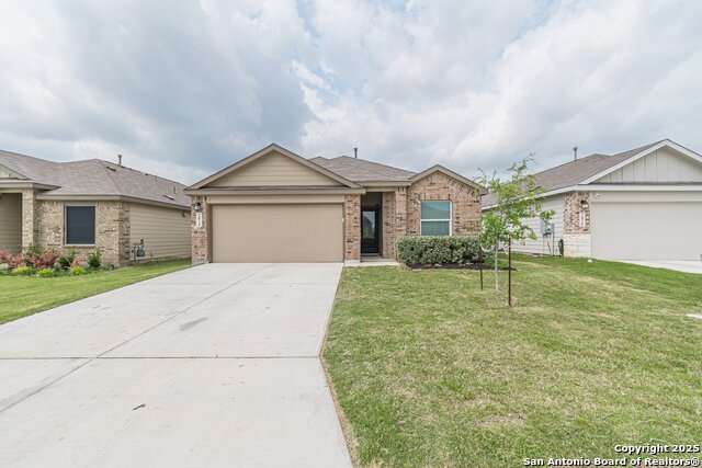 2824 Green Finch, New Braunfels, Texas image 43