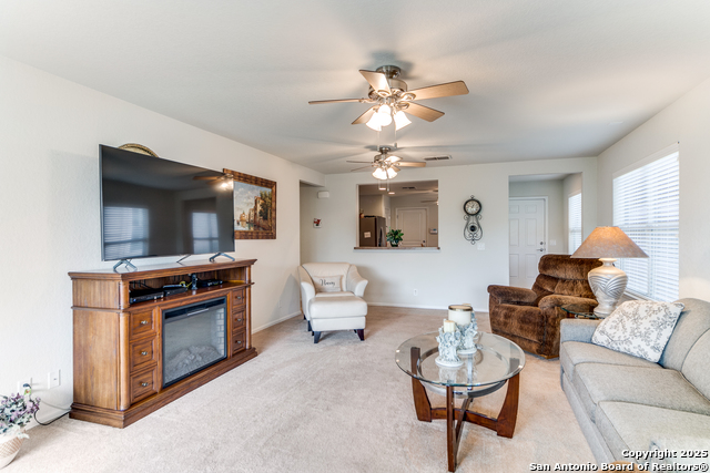 4938 Sandhill Crane, San Antonio, Texas image 6