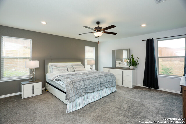 11243 Hill Top Loop, Helotes, Texas image 10