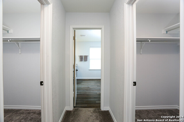11243 Hill Top Loop, Helotes, Texas image 13