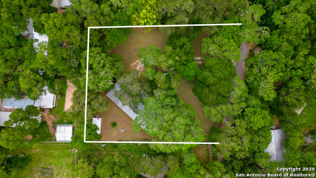 19214 Grey Forest, Helotes, Texas image 33