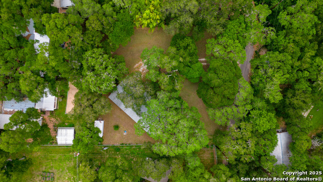 19214 Grey Forest, Helotes, Texas image 34