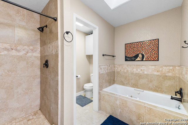 503 Lower Lacoste, Castroville, Texas image 23
