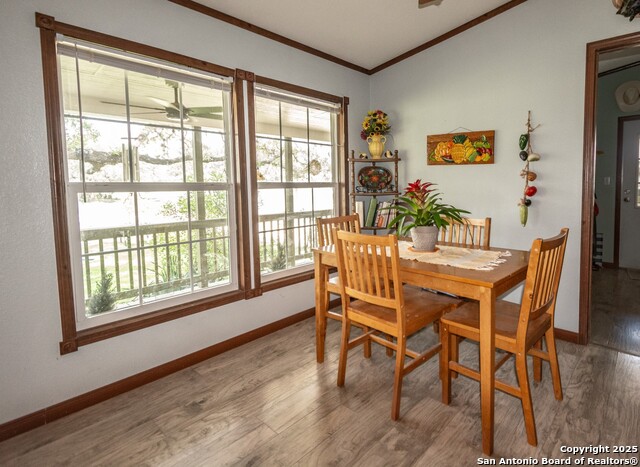 26701 Fm 470, Utopia, Texas image 18