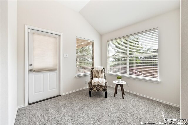 27103 Trinity Hts, San Antonio, Texas image 24
