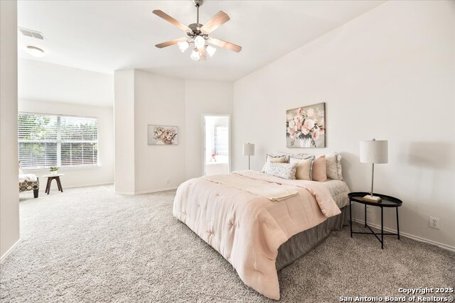 27103 Trinity Hts, San Antonio, Texas image 8