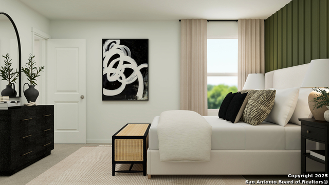 3725 Axis Hill St, New Braunfels, Texas image 23