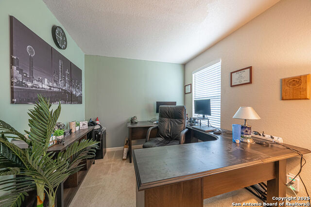 137 Springtree Shadow, Cibolo, Texas image 30