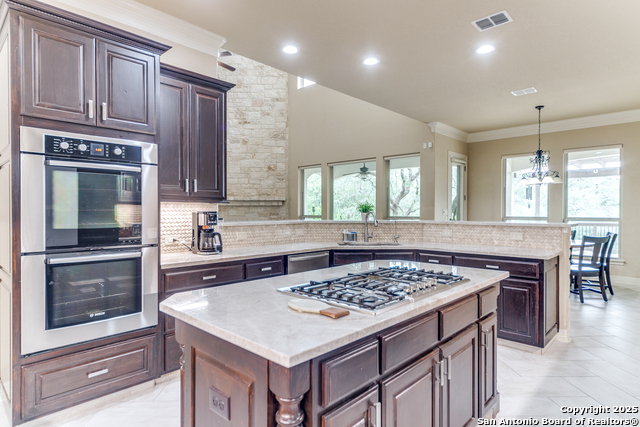714 Ruidosa Downs, Helotes, Texas image 11