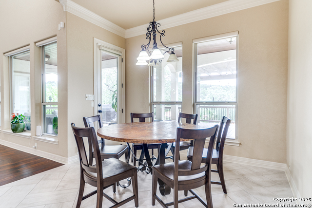 714 Ruidosa Downs, Helotes, Texas image 14