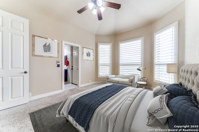 714 Ruidosa Downs, Helotes, Texas image 17