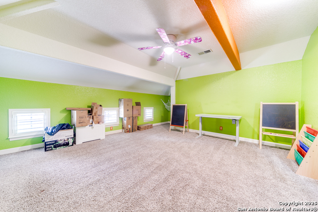 714 Ruidosa Downs, Helotes, Texas image 23