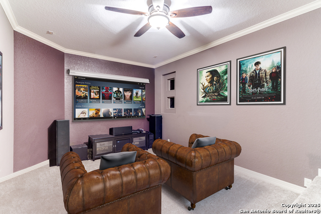 714 Ruidosa Downs, Helotes, Texas image 28