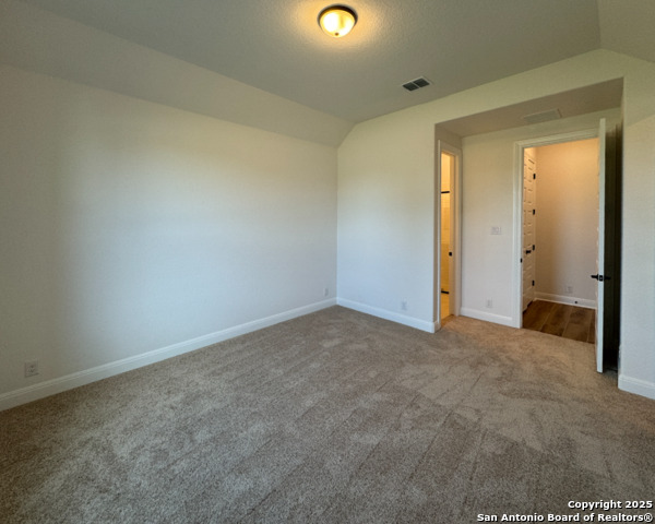 10696 Chestnut Warbler, New Braunfels, Texas image 37