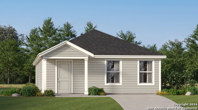 3613 Wentz Hill Dr, New Braunfels, Texas image 1