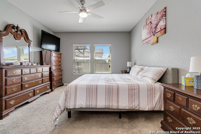 1843 Golden Maple, San Antonio, Texas image 22