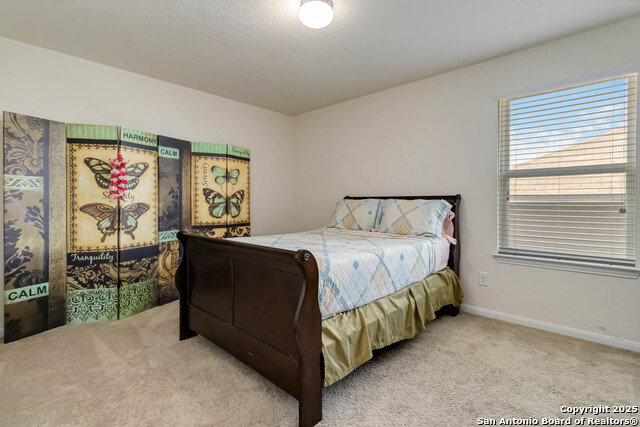 1843 Golden Maple, San Antonio, Texas image 32