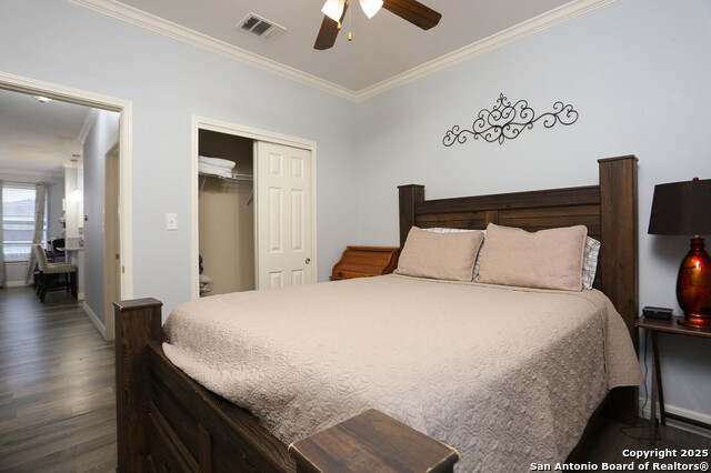 5906 Desert Glass, San Antonio, Texas image 15