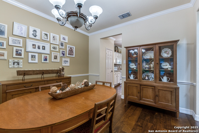 9347 Llano Verde, Helotes, Texas image 5