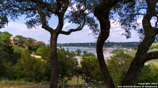 1799 W Lakeside Drive, Canyon Lake, Texas image 11