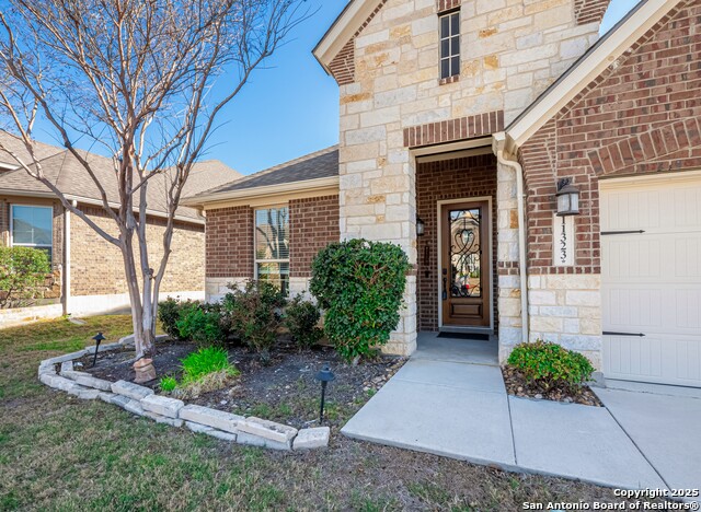 11323 Ivy Cadence, San Antonio, Texas image 2