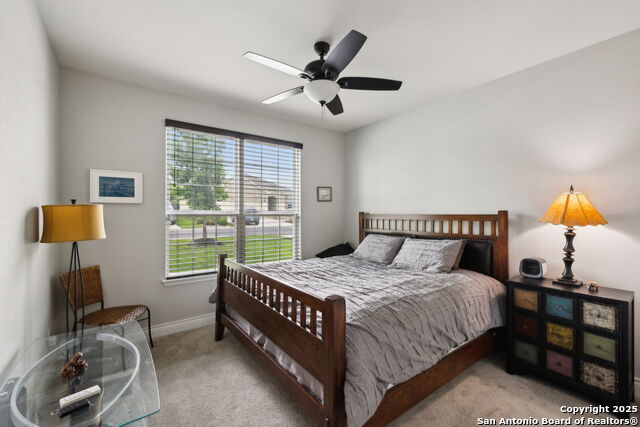 3733 Tulip Dam, San Antonio, Texas image 23