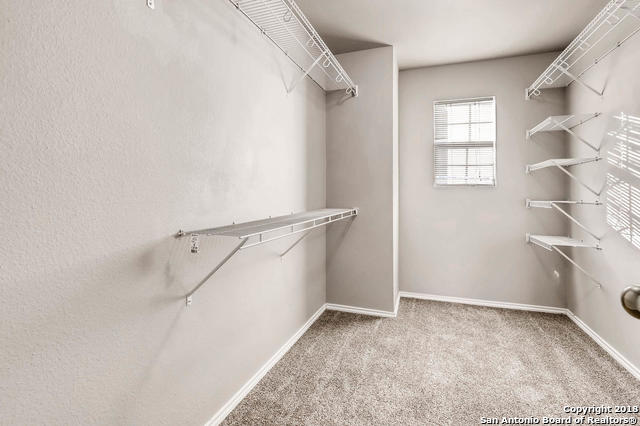 25923 Torch Lily, San Antonio, Texas image 13