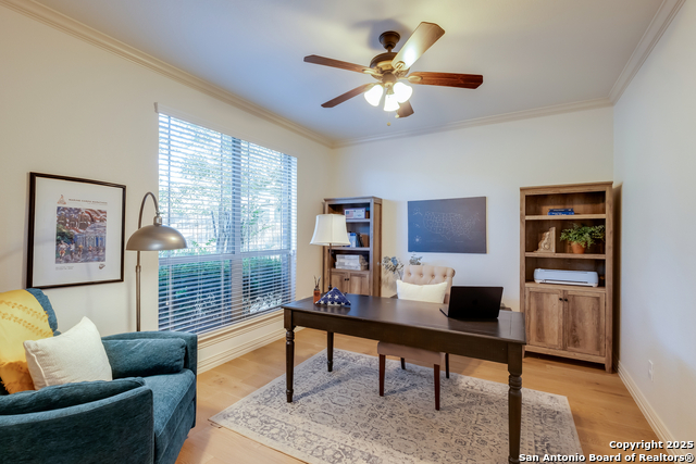 25507 Wesley Park, San Antonio, Texas image 10