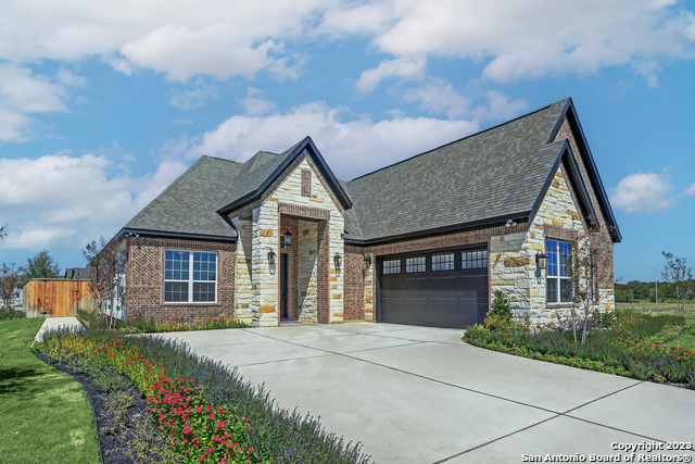 223 Azalea Alley, Castroville, Texas image 1