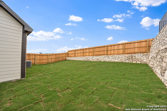 223 Azalea Alley, Castroville, Texas image 19