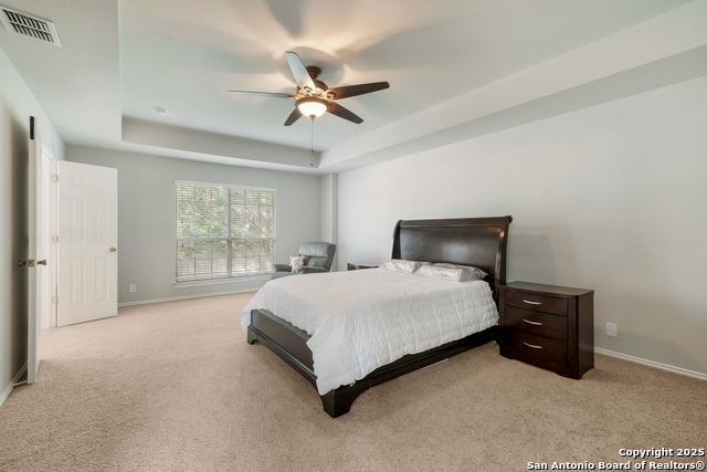 228 Crimson Tree, Cibolo, Texas image 20