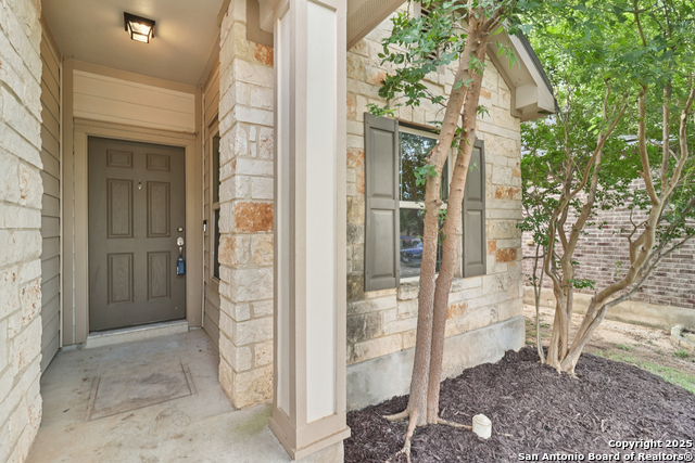 22418 Akin Fawn, San Antonio, Texas image 4